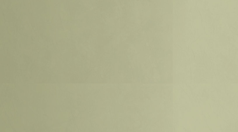 aboutrobertstallman_012910006003.jpg